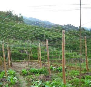 أسلاك الفولاذ المجلفنة الكهربائية لكرم العنب عالية الكربون الصف B C سلك مجلفن 0.5 مللي متر/2.5 مللي متر - Product Image 3