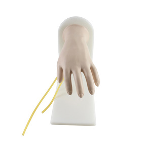 Alto grado di restauro di dettaglio della mano avanzata vena dorsale modello di iniezione nella scuola di medicina - Product Image 2