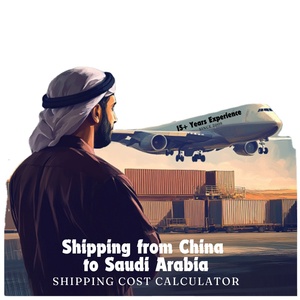 Ddp Shipping-cost-cina-to-dubai agente Cargo corriere servizio dalla cina a Uae Oman invio merci logistica Container merci - Product Image 6