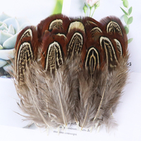 Vente en gros de plumes de dinde de paon de faisan naturel (8-13cm) motifs teints pour bijoux à bricoler soi-même accessoire artisanat matériaux de montage de mouches