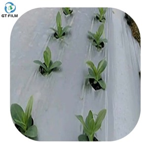 Feuille de revêtement de film géomembrane agricole PE-HD en plastique texturé lisse - Product Image 2