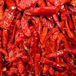 Fournisseur d'épices d'usine, vente en gros de piments rouges séchés/piments séchés, piments rouges séchés - Product Image 6