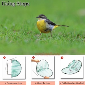 Piège à oiseaux en filet pour attraper les passagers vivants, idéal pour le jardin extérieur, contrôle des animaux - Product Image 3