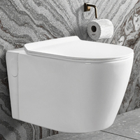 WC suspendu mural en céramique de luxe européen avec réservoir dissimulé sans réservoir pour salle de bain