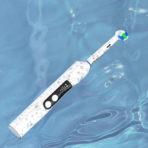 Cepillo de Dientes Eléctrico Personalizado con Carga Tipo C, Resistente al Agua IPX7, Batería Recargable, Carcasa de Plástico para Adultos - Product Image 1