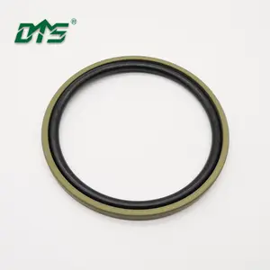 Escavatore PTFE ANELLO D SEAL KIT, PTFE BRONZO D RING GUARNIZIONI