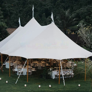 Geodesic Party <b>Tent</b> Unique Design Tentes Pour Événements Modern Carpas Para Eventos Spacious Wedding <b>Tent</b> For Wedding Events - Product Image 5