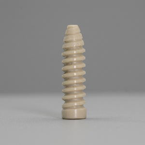 Juego de instrumentos de artroscopia y tornillo de interferencia ACL de primera calidad | Modelo de rodilla con fórceps de acero inoxidable | Mejor precio OEM India - Product Image 3