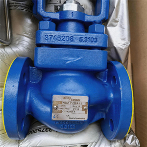 วาล์วควบคุมลม Spirax Sarco รุ่น KE73 - ตัวกระตุ้น PN9123E, ตัวกรองและตัวควบคุมแรงดันลมไฟฟ้า EP6 รุ่น FR20A - Product Image 4