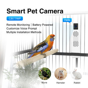 O-KAM 1080p dôme sans fil caméra d'observation des oiseaux usage domestique Vision nocturne observation des oiseaux carte SD connectivité WIFI petite batterie - Product Image 2