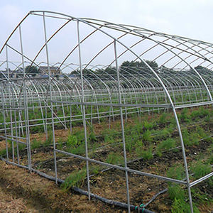 ราคาดีที่สุด คุณภาพคุ้มราคา ฟิล์ม PE สำหรับโรงเรือนปลูกผัก โรงเรือนอุโมงค์ทางการเกษตร - Product Image 4