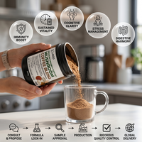 Mélange de boissons végétaliennes sans OGM, formule personnalisée sous marque privée, qualité supérieure, soutien immunitaire, produits de beauté, vente en gros, à base de champignons