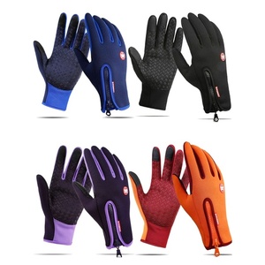 Женские и мужские плотные теплые перчатки на молнии, перчатки с подкладкой для катания на лыжах и вождения, зимние