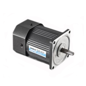 มอเตอร์ไฟฟ้าเหนี่ยวนำเฟสเดียว 110V 220V 40W แบบมีเกียร์ - Product Image 2