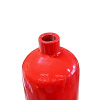 Bouteilles de gaz haute pression de 6 kg à soudure sans couture personnalisées en usine pour extincteur à CO2