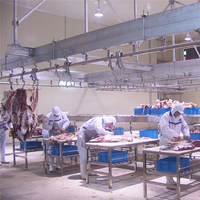 Machines automatiques d'abattoir bovin pour la production de boucherie d'abattoir de viande
