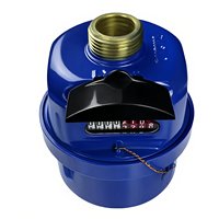 DN15 Brass Body Volumetric Rotary Piston Liquid Sealed Water Meter