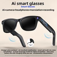 Lunettes Intelligentes IA G200 avec Écran OLED Pixel, Photo, Vidéo, Réduction du Bruit, Reconnaissance IA, Traduction, Écouteurs en Acier Inoxydable TR90