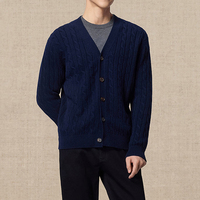 Reine Kaschmir V-Ausschnitt Zopfmuster Lässige Strickjacke Herren Kaschmir-Cardigan Winter