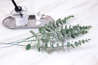 Bouquet de feuilles d'eucalyptus en soie artificielle, décoration murale florale pour accessoires de photographie de mariage - Matériaux d'arrangement de plantes vertes