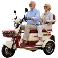 Tricycle électrique à 3 roues, batterie au plomb-acide 60V 32AH, moteur 1000W, autonomie jusqu'à 70 km, idéal pour les visites touristiques