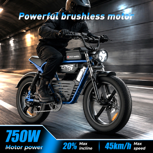 Motocicleta de Montaña RX-T8 con Motor Central, Suspensión Delantera Hidráulica, para Carreras, Rápida RX-T8 RX-T8 - Product Image 5