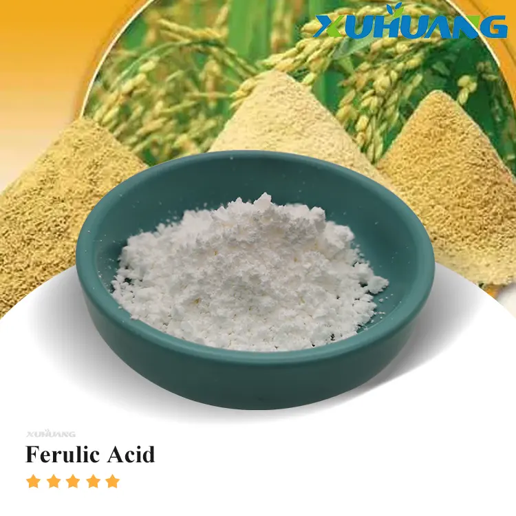 Extrato natural Ferula ácido 4-hidroxi-3-metoxicinâmico ácido ferúlico