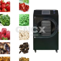 Commerciële vriesdroogmachine voor voedselverwerking, behoudt voedingsstoffen zonder vriesbrand.