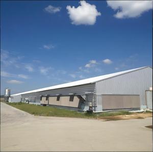 Sistema inteligente para cría de aves de corral para gallinero 10000/<span class=keywords><strong>casa</strong></span> de aves de corral para granja de estructura de acero para cría de aves de corral 20000 - Product Image 6