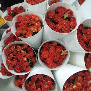 Flores de Rosa Secas Horneadas, Ramo de Rosas Reales para Decoración del Hogar, Centro de Mesa para Bodas, Regalo, Manualidades - Product Image 3