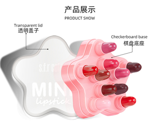 SFR01A Vegan Organique nude mat cosmétique rouge à lèvres ensemble <span class=keywords><strong>pas</strong></span> <span class=keywords><strong>cher</strong></span> coréen étanche <span class=keywords><strong>maquillage</strong></span> 10 pcs <span class=keywords><strong>bio</strong></span> mini rouge à lèvres <span class=keywords><strong>coffret</strong></span> cadeau - Product Image 4