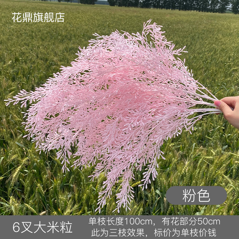 Granos de arroz rosados de 6 puntas.