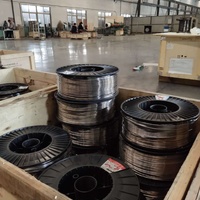 Fil de plomb pur à 99,99 %, 2 mm, 3 mm, 4 mm, 4,2 mm, 4,3 mm, 4,5 mm, 5 mm, 5,5 mm, fil de plomb pour la fabrication de balles