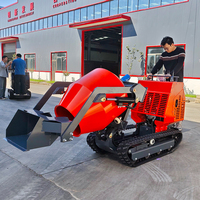 TIANTONG Vollhydraulischer Mini-Raupenbetonmischer mit Dieselmotor und KUBOTA Frontlader Kleiner Kipper für den Heimgebrauch