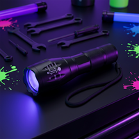 Mini lampe torche UV LED 395nm haute puissance, lampe d'inspection portable pour la détection de fluorescence et des bijoux