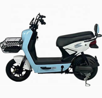 Vélo électrique universel 48V/60V 800W avec écran LCD, alarme antivol, vitesses, mise à niveau optionnelle du frein à disque arrière
