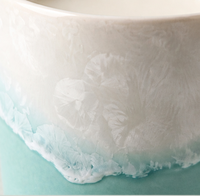 Ensemble de bougies parfumées bio en cire de soja dans un pot en céramique décoratif pour la maison, étiquette privée, coffret cadeau