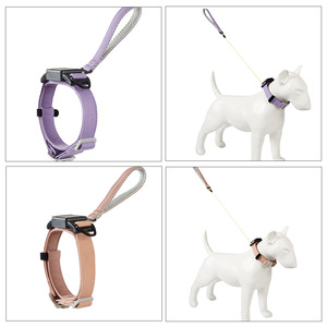 <span class=keywords><strong>2026</strong></span> NEU Nylon Integriertes Automatisches Zughemmendes Halsband für Hunde Einfarbiges Hundeleinen-Gehseil - Product Image 4