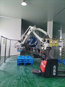 Tự động Túi Stacker palletizer máy cho hộp/Túi/chai <span class=keywords><strong>palletizing</strong></span> hệ thống - Product Image 4