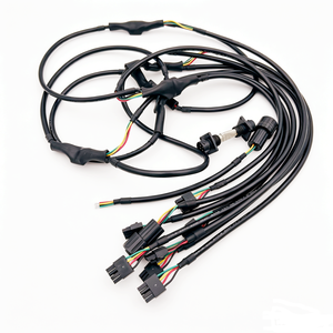 Harnais de câblage en cuivre sur mesure avec connecteur Wugo 12 broches – Solutions d'assemblage de faisceaux de câbles – Fabricant - Product Image 1