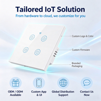 Interrupteur mural intelligent WiFi XZJ, personnalisable OEM, serveur cloud privé, application auto-hébergée, API, 1 à 4 gangs, panneau en verre trempé, 100-240V