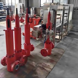 วาล์วประตูไฮดรอลิก API 6A สำหรับหัวขุดเจาะขนาด 3-1/6 นิ้ว 10k แบบคริสต์มาสทรี - Product Image 5