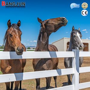 Recinzione <span class=keywords><strong>per</strong></span> Cavalli di Alta Qualità, Resistente alle Intemperie, Certificata ASTM e ISO9001, in PVC - Product Image 1