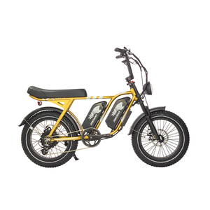 Personnalisation 52V15AH double batterie VTT <span class=keywords><strong>e</strong></span>-bike vélo électrique rapide adulte ville <span class=keywords><strong>e</strong></span> vélo 1000W vélo électrique - Product Image 3