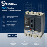 Ancien modèle SNS 250 3P AC690V 36KA réinitialisation automatique MCCB protecteur de surcharge personnalisable puissant circuit de boîtier moulé fabriqué en usine