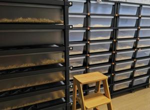 Baignoire en plastique de haute qualité Pet Snake Rack Système de baignoires Reptile Cage Rack Reptile Cages Baignoires de serpent - Product Image 2