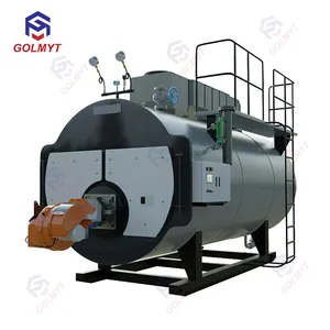 Horizontal Type Fire Tube Industrial Oil/Natural Gas Fired Wns Steam Boiler