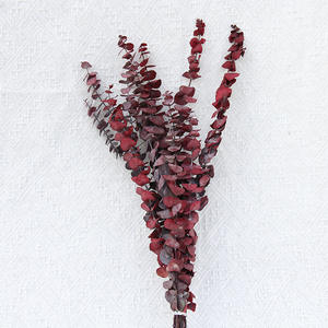 10 Uds. Planta de eucalipto preservada de hojas de eucalipto secas reales naturales para decoración de eventos de Ducha - Product Image 6