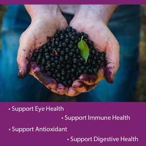 Cápsulas de Maqui Berry de 1000 mg, Venta Caliente OEM/ODM, Apoya la Salud Ocular, el Sistema Inmunológico y la Salud Digestiva, Sin OMG ni Gluten - Product Image 3
