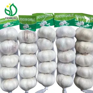 Vender alho branco nova safra na China preço de mercado 1kg/500g